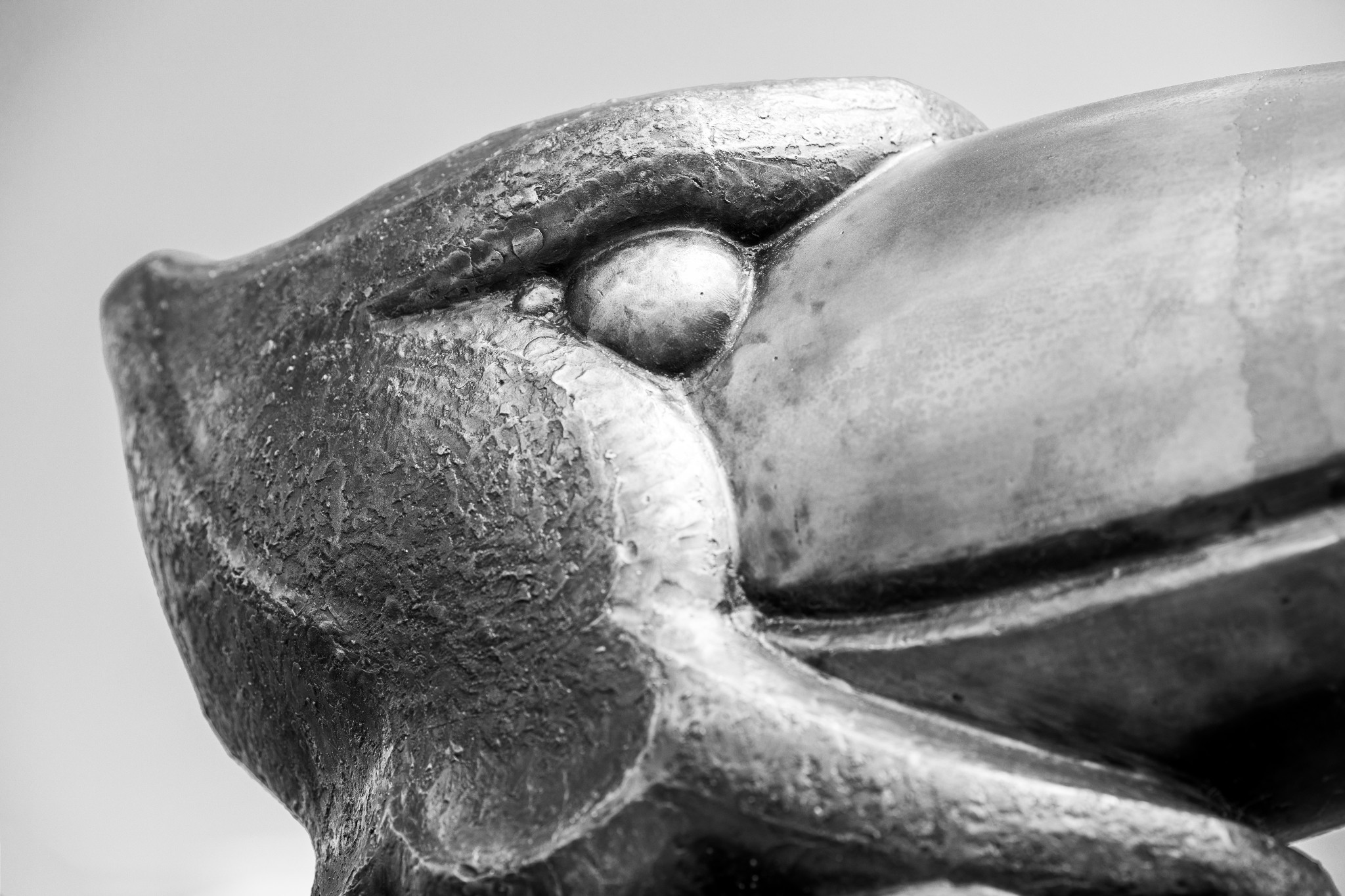 Bronze Jayhawk head in black and white
