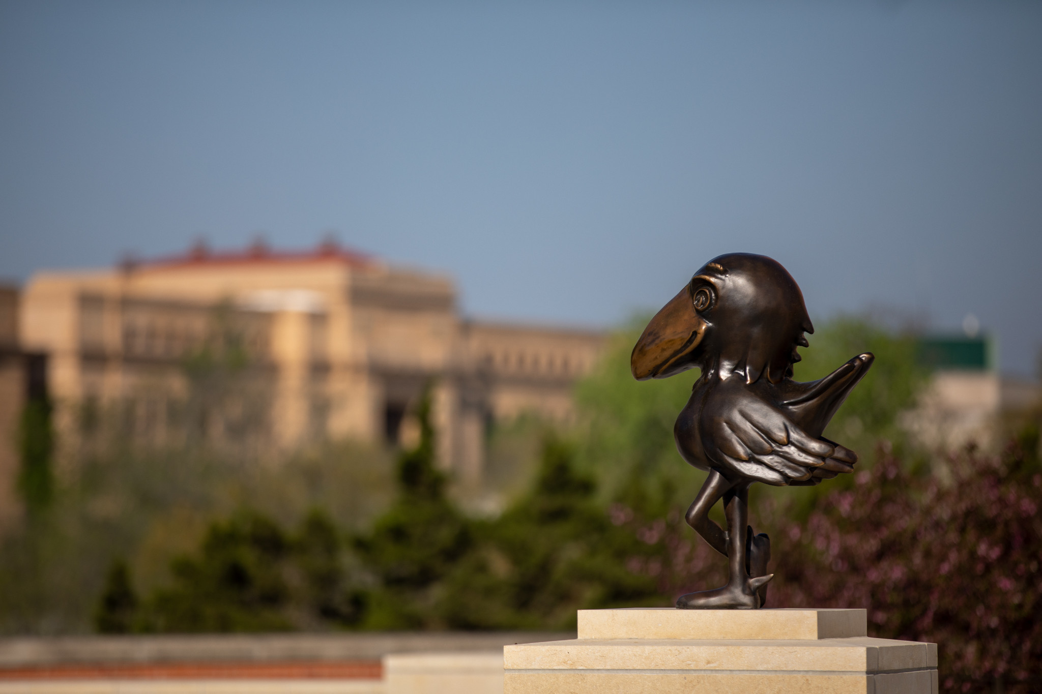 Bronze Jayhawk statue with Spencer Museum in the background